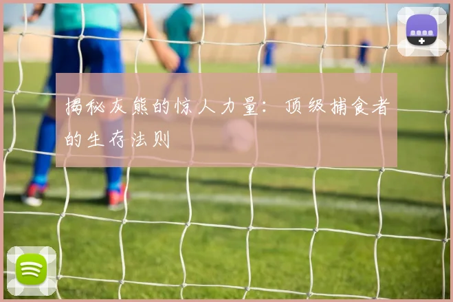 揭秘灰熊的惊人力量：顶级捕食者的生存法则